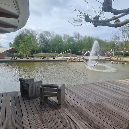 Ferienwohnung Direkt Am Strand In Makkum Εξωτερικό φωτογραφία
