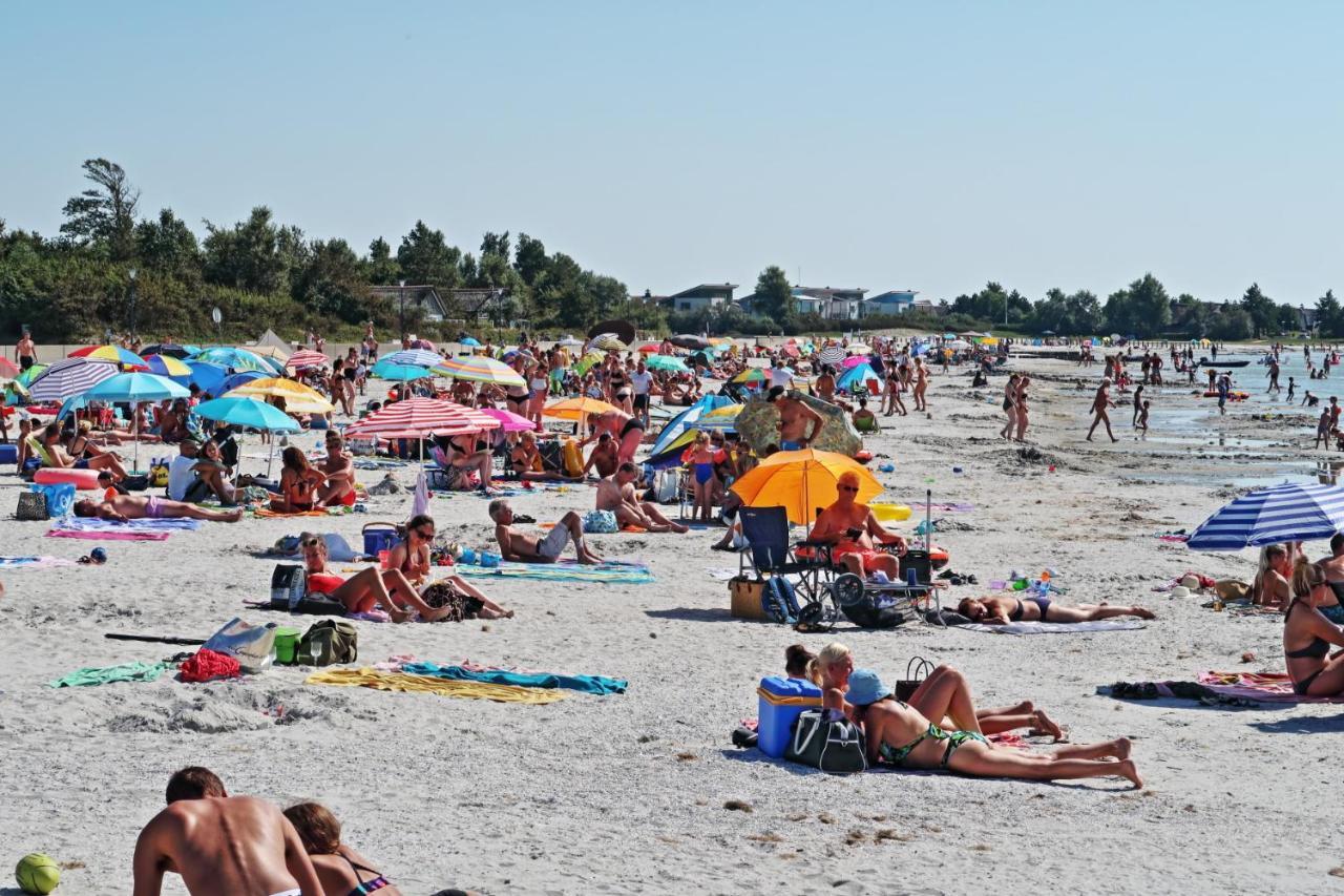 Ferienwohnung Direkt Am Strand In Makkum Εξωτερικό φωτογραφία