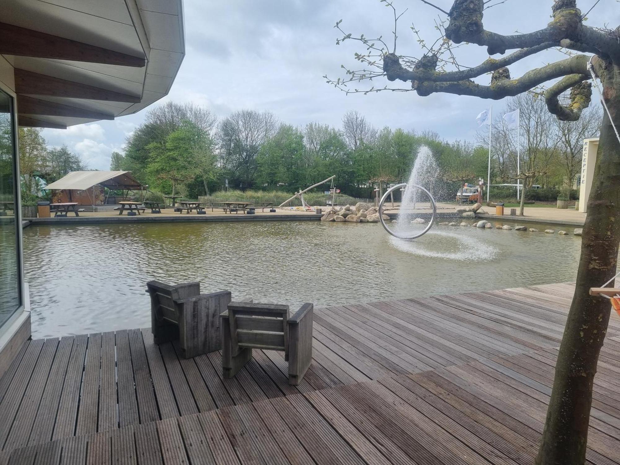 Ferienwohnung Direkt Am Strand In Makkum Εξωτερικό φωτογραφία